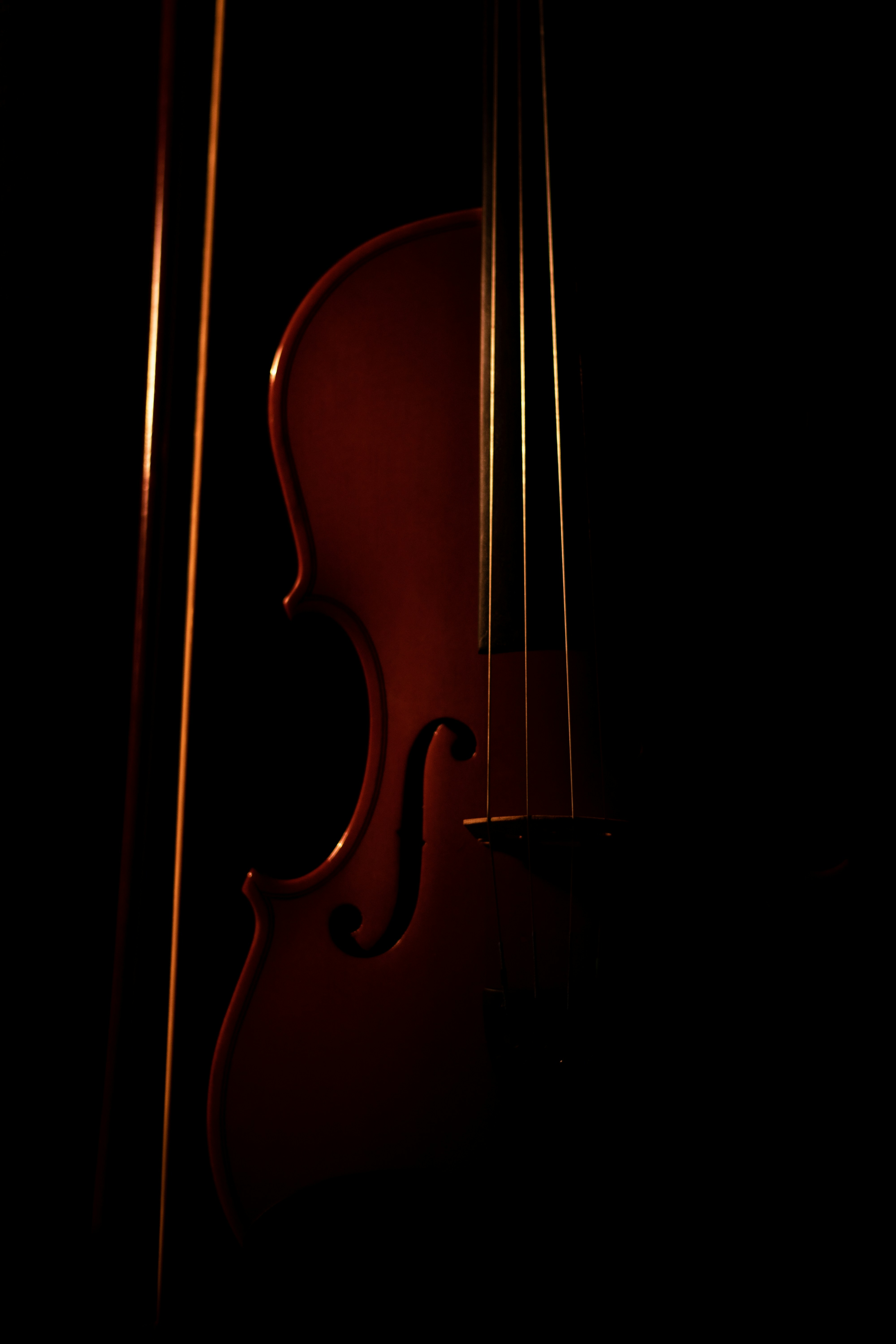 Alto contemporain en érable figuré